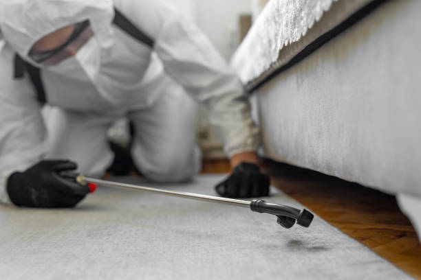 Professional Bed Bug Control technician working in Merriam Woods, MO