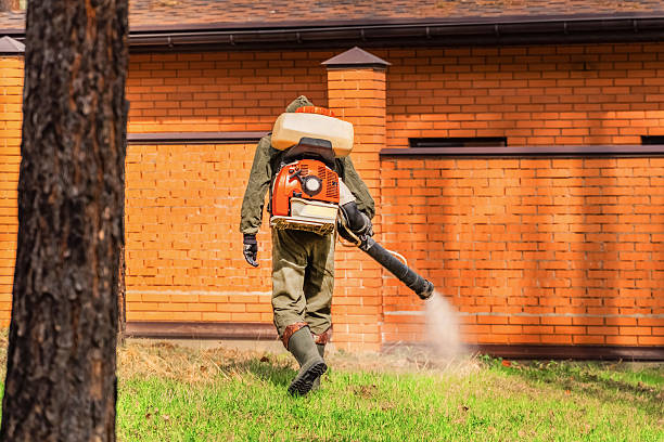 Trusted Cockroach Control service in Merriam Woods, MO - Nex Pest Control